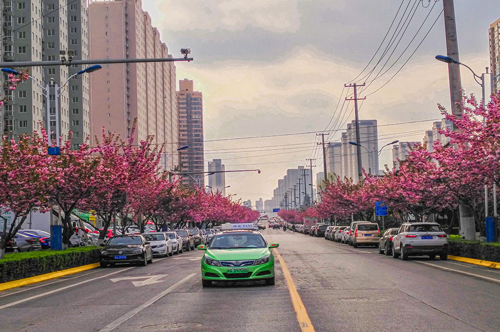 IMG_20200329_164237副本.jpg