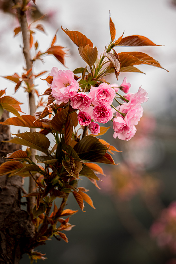 IMG_0954副本.jpg