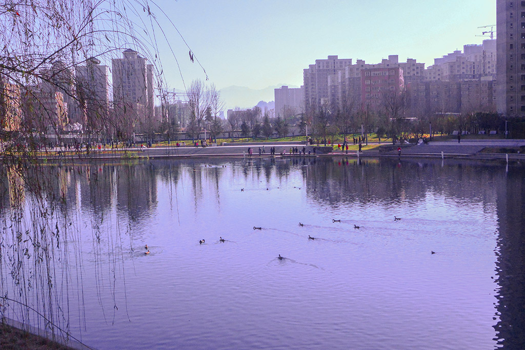 DSC_2599副本.jpg
