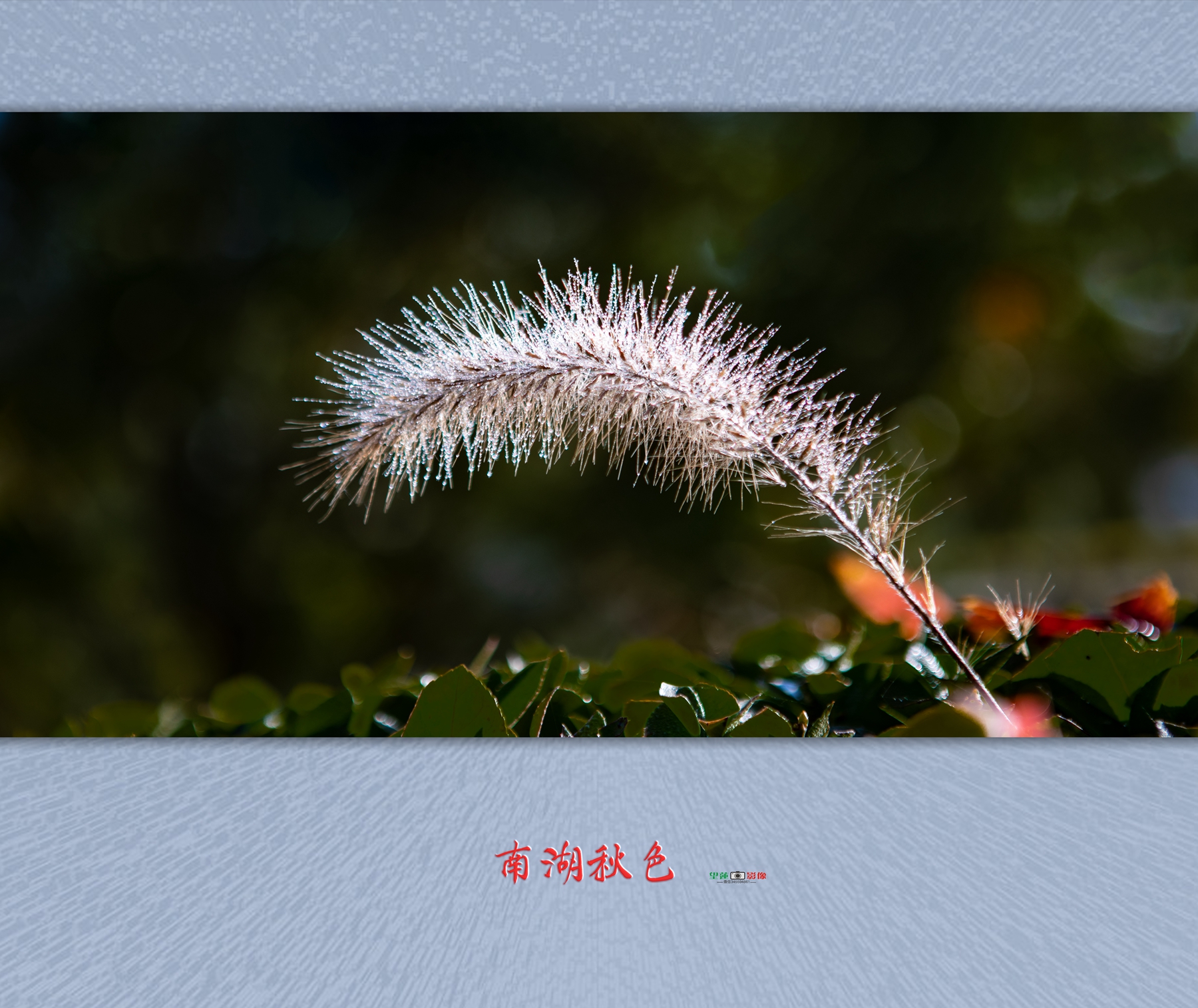 南湖秋色6.jpg