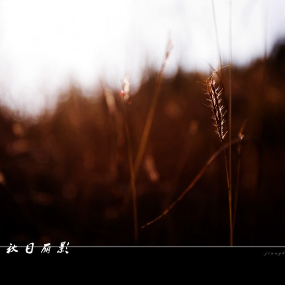 城固那一山秋色