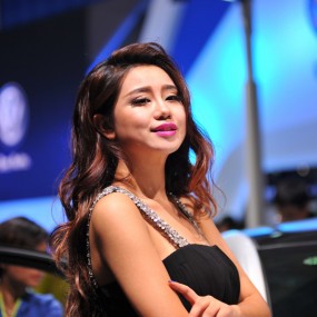 2014西安十一国际车展摄影大赛