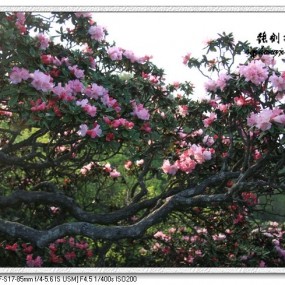 南江行《二》———牟阳古城