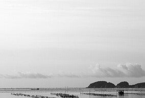 海边的生活和故事