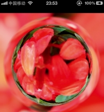 在水滴中放大深秋色彩