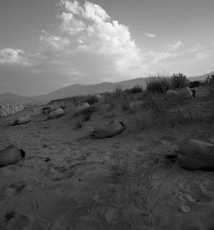 光影塑造的黑白人体