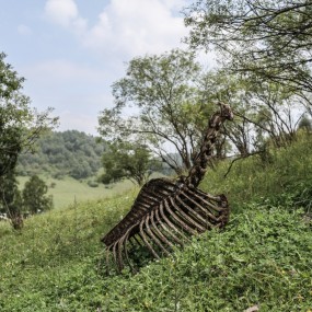 关山牧场－避暑