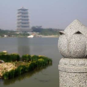 《梦回世园》组照  猪曼曼 摄