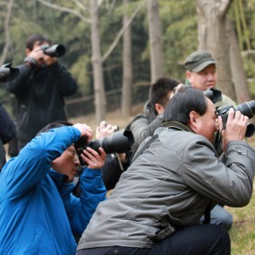 再发两张活动的片子