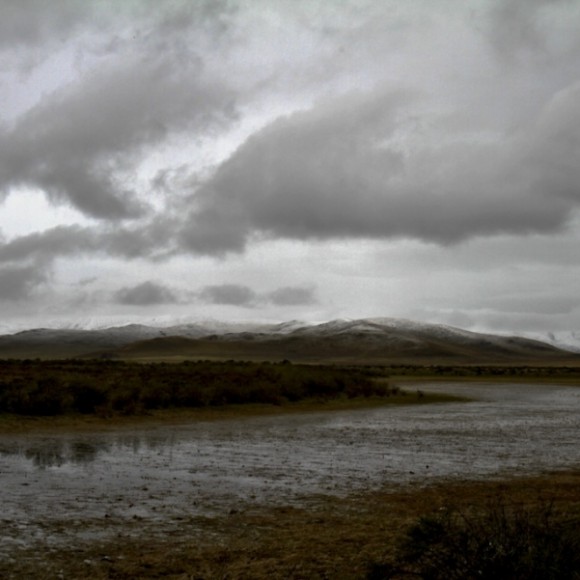 雪山•草地•河流