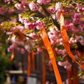 【小于】---青龙寺乱拍