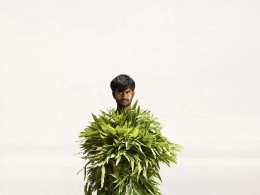 加尔各答卖花郎