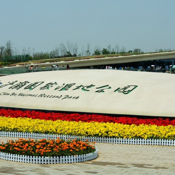 今日浐灞国家湿地公园随拍