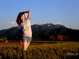 秦地麦田里的微笑