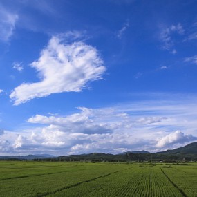 汽车窗外的风景