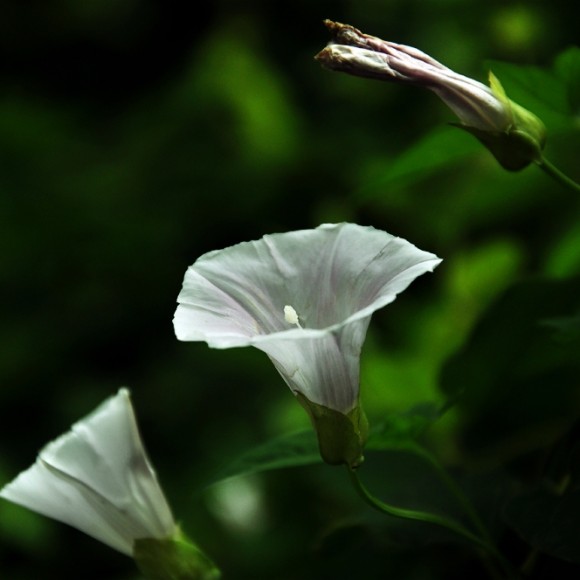 南门，含光门，西门，玉祥门，宣武门随拍，比较杂乱，大家将就看下