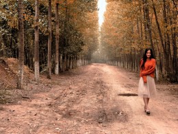 【实拍】画中人