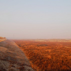 冬拍渭河南岸大堤及河堤路
