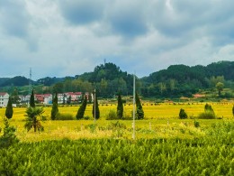 秋色渐浓（手机版）