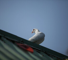 0510兴庆公园捏的几张人像（2035L.50L.ISXB)