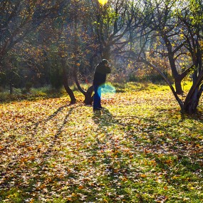 虽是晚秋色已去，犹有痴迷追秋客！