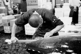 Sasha Gusov 街头人像