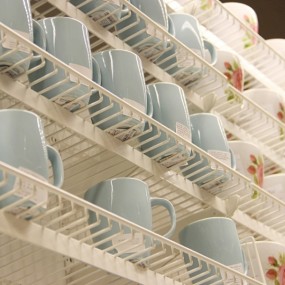 我们都是杯子控