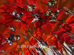 韩国摄影师David Byun17~~~