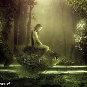 海生物的幻想__航海王基德