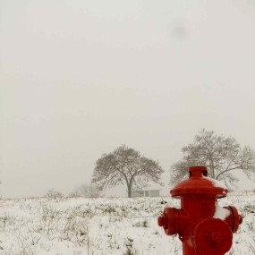 入冬第一场大雪，瞎玩儿
