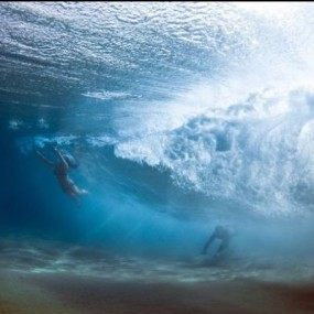 看看这些自然照片