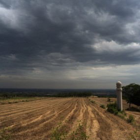 田野里的唐代文物--崇陵