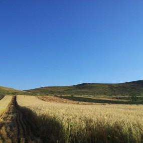 锡林郭勒大草原！！