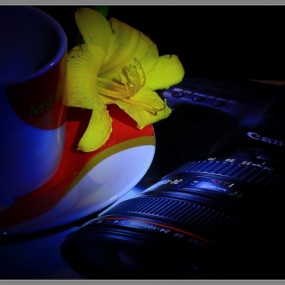 Lecia m9拍摄的静物片子（画质，用光很美）