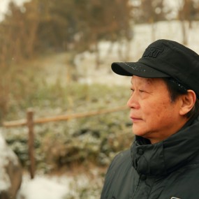 抓拍父母逛南湖