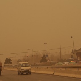 兄弟姐妹们今天您戴口罩了吗？这样的天能适应吗？