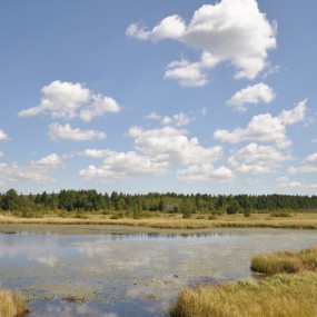 初秋自驾塞罕坝