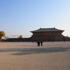 下午没事去扫公园