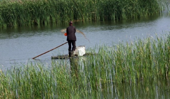 大荔黄河滩印象速写