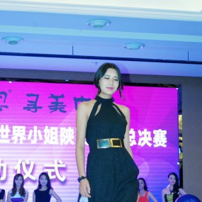 补作业---2013世界小姐陕西赛区启动 一