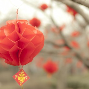 被放鸽子后的作业