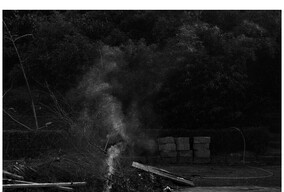 很有想玩黑白暗房的冲动