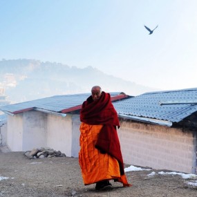 净土--大德高僧