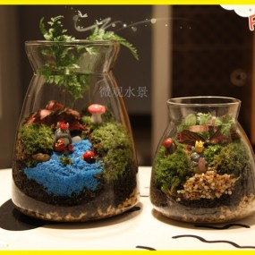 自己拍的微观景。