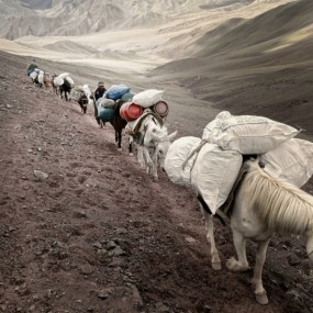 自选典藏：留住真实的瞬间（十七）