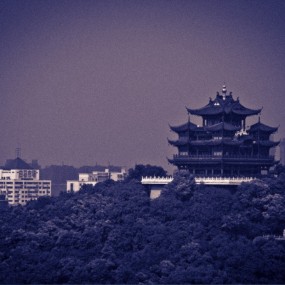 Mister G.Yu的自留地