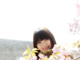 樱花之悦  我的专属