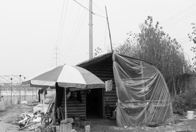 走近草莓"生产"基地