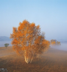 如何利用光线拍出好照片