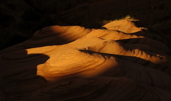 晨曦中的红沙卯